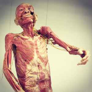 Human Body Museum in Siam Square Bangkok Thailand Sehenswürdigkeiten