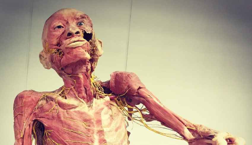 Human Body Museum in Siam Square Bangkok Thailand Sehenswürdigkeiten